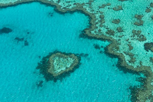 Stunning aerial shot of the heart-shaped coral formation in the Great Barrier Reef, Australia.