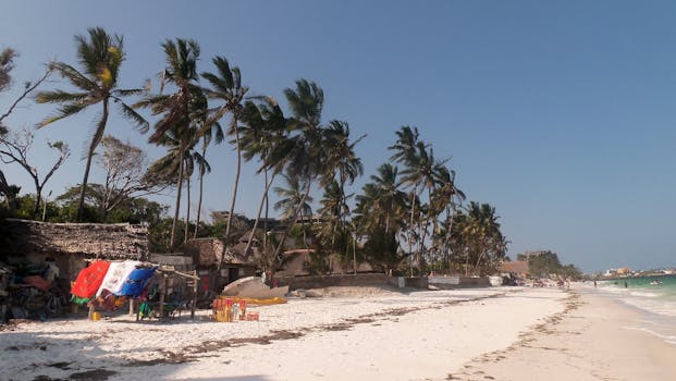A serene beach with palm trees and bright skies in Mombasa, Kenya.