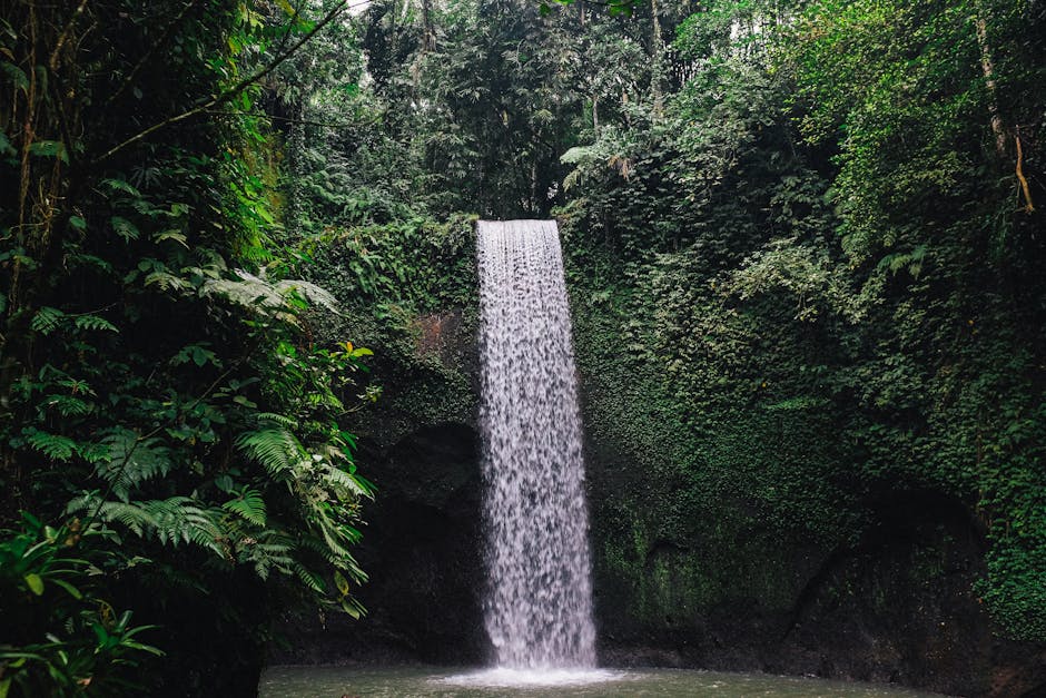 Experience the serene beauty of a lush waterfall in Bali's dense jungle.