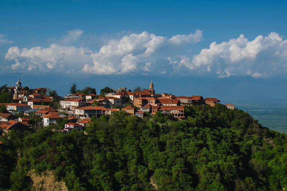 Beautiful panoramic view of Sighnaghi, a charming town in the lush Kakheti region of Georgia.