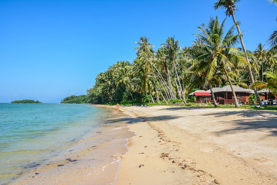Serene tropical beach on Ko Mak, Thailand with palm trees and huts under a clear blue sky.