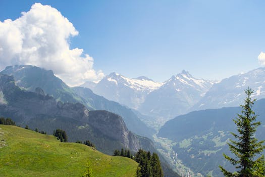 Breathtaking view of the majestic Alps with lush greenery and snow-capped peaks under a clear blue sky.