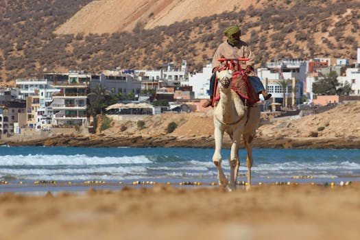 A man riding a camel along the picturesque beach of Taghazout, Morocco with scenic coastal views.